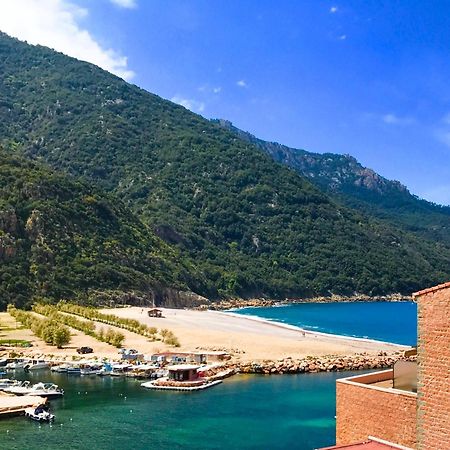 Appartements Les Residences Du Port La Siesta Porto  المظهر الخارجي الصورة